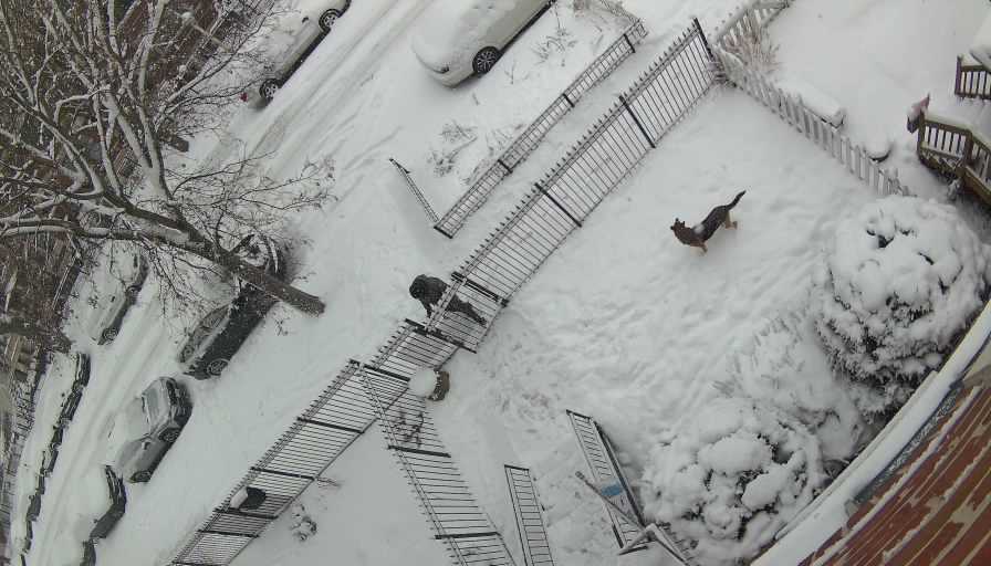 Reolink Camera Two_01_Reolink Home Hub One_20260125143842.jpg